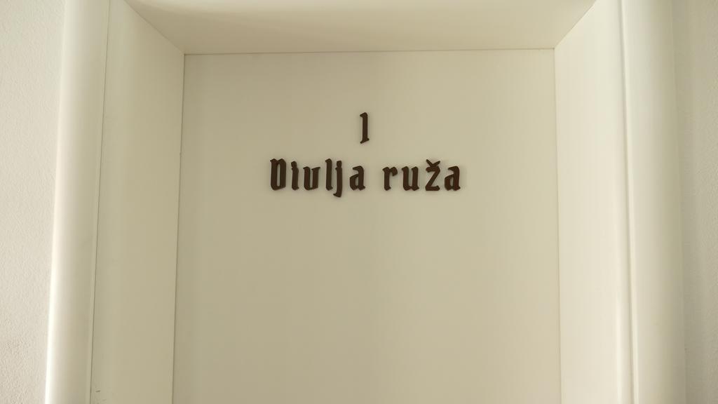 Guest House Villa Herbarium Славонски брод Екстериор снимка